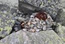 Otevřít fotogalerii Tatry s Pokecem 2020 Tatry s Pokecem 2020