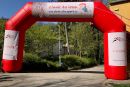 Otevřít fotogalerii Z lavic do lesa Žabovřesky 16. 4. 2019 Z lavic do lesa Žabovřesky 16. 4. 2019